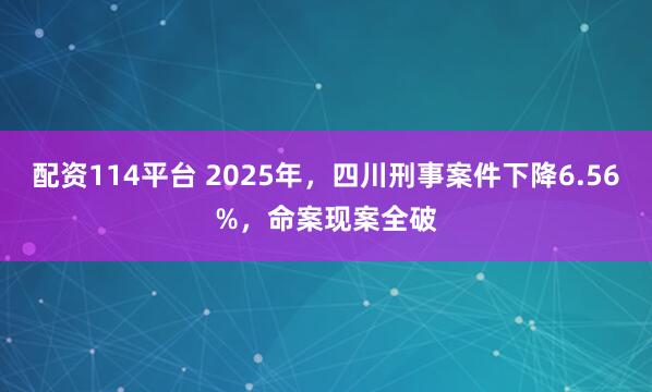 配资114平台 2025年，四川刑事案件下降6.56%，命案现案全破