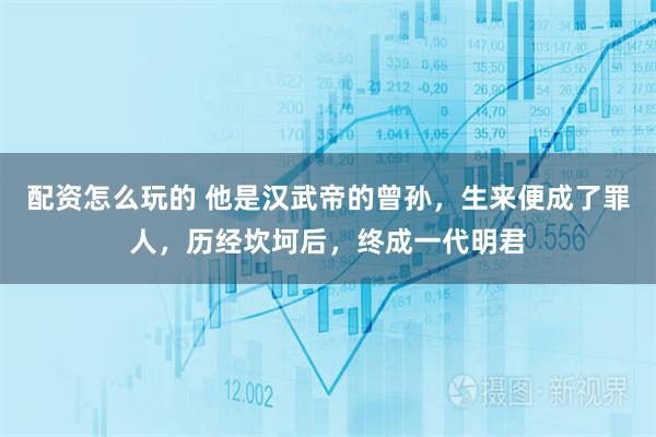 配资怎么玩的 他是汉武帝的曾孙，生来便成了罪人，历经坎坷后，终成一代明君