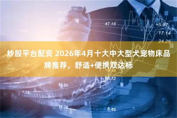 炒股平台配资 2026年4月十大中大型犬宠物床品牌推荐，舒适+便携双达标